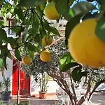 Giallo Limone Salerno