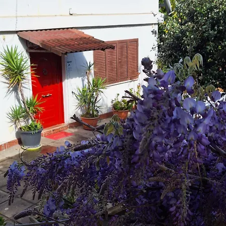 Bed & Breakfast Giallo Limone Salerno