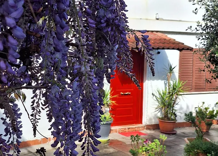 Giallo Limone Salerno