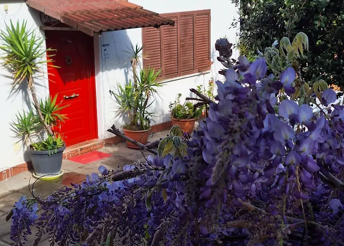 Bed & Breakfast Giallo Limone Salerno