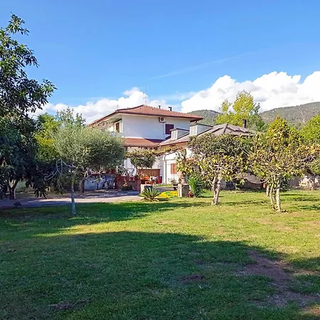 Giallo Limone 萨莱诺