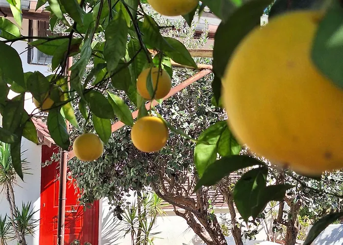 Giallo Limone Salerno